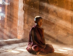 Thiền quán với Tứ đại